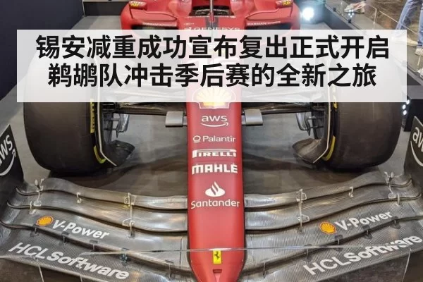 锡安减重成功宣布复出正式开启鹈鹕队冲击季后赛的全新之旅